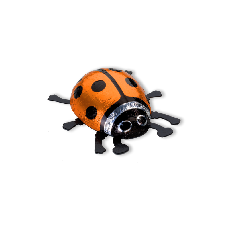 Glückskäfer Milch gross orange