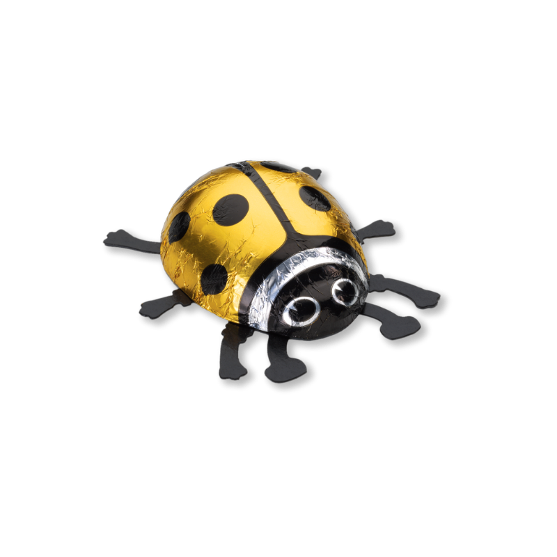 Glückskäfer Milch gross gold