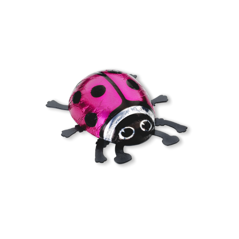 Glückskäfer Milch gross pink