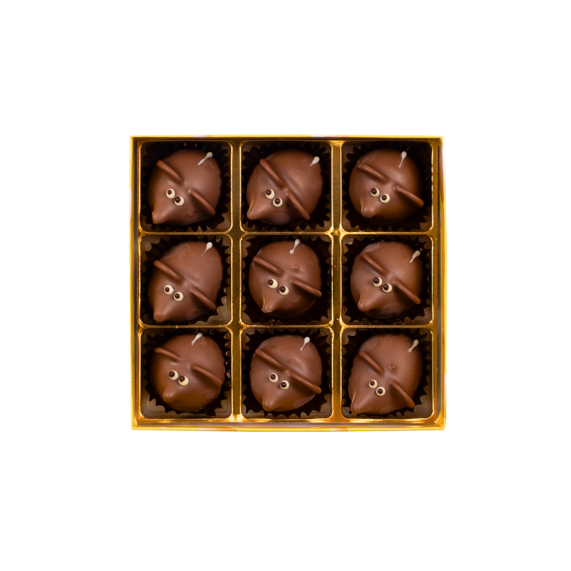 Schachtel mit Pralinés Müsli (9 Stk.)