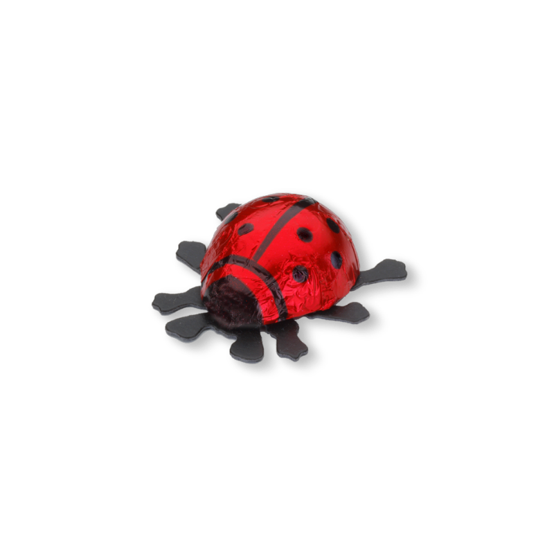 Glückskäfer Milch klein rot